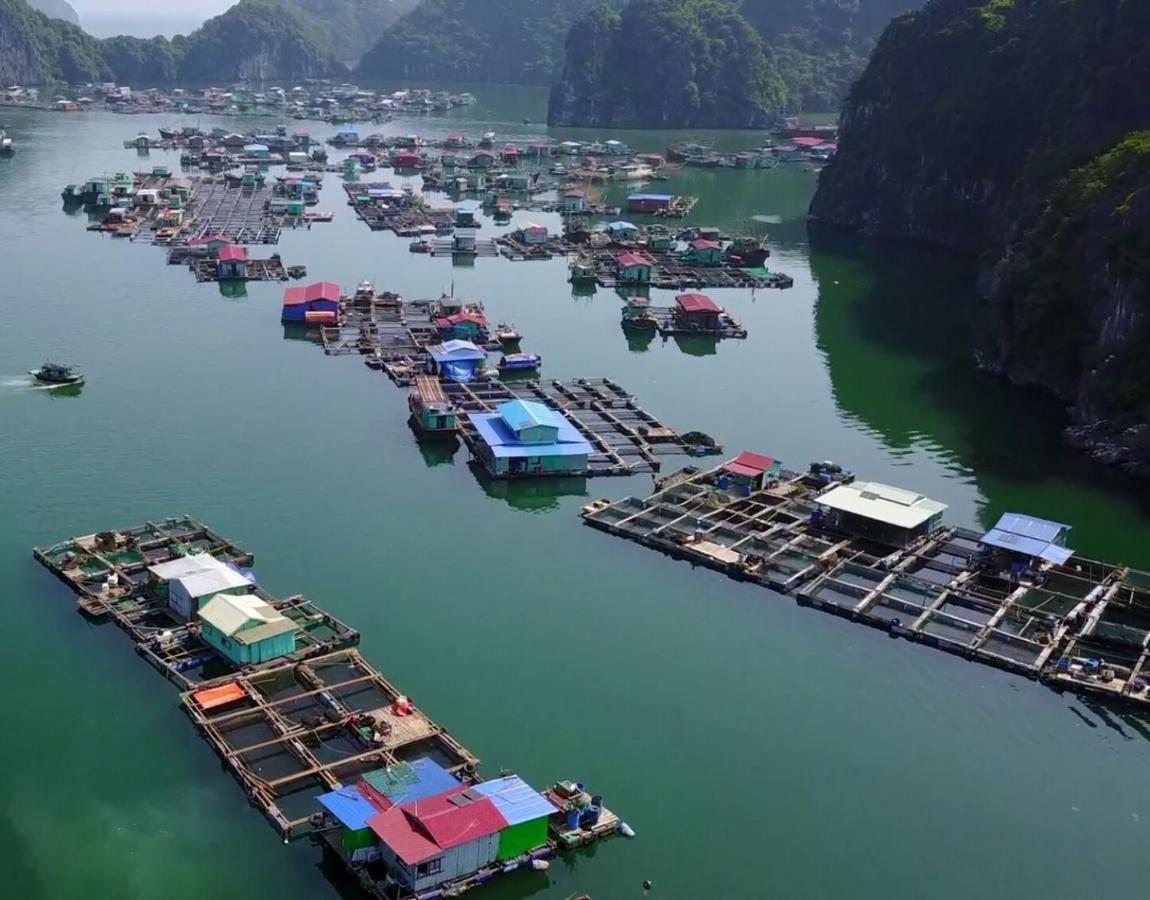 Cat Ba Thailand Hotel Dong Khe Sau Exterior foto